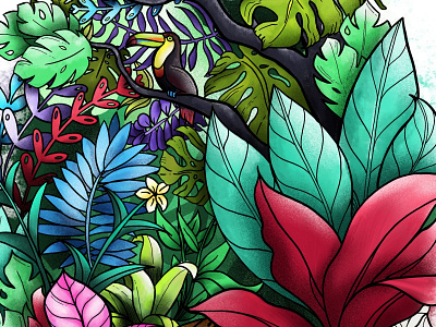 Colorful Jungle Detail illustration jungle plants toucan