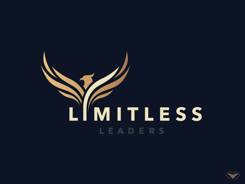 Limitless Logo designs, themes, templates and downloadable graphic elements  on Dribbble