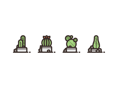 Cactus Plants