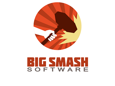 Logo design for software company