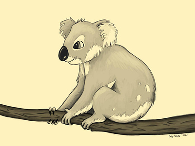 Koala sketch digital art digital illustration digital painting illustration koala koala bear photoshop sketch tan tree