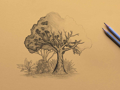 Tree Illustration article illustration design garden illustration tree tree illustration web illustration