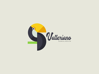 Valleriano | Flat Logo branding design flat illustration logo