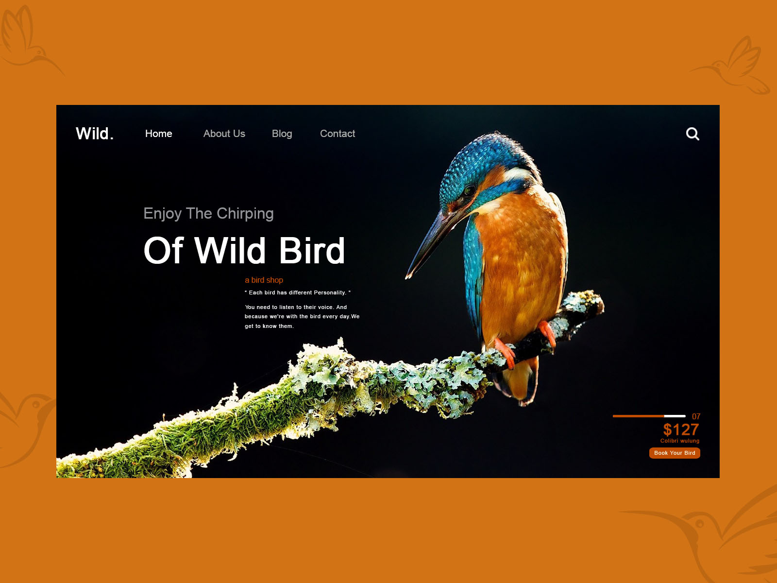 Wild Bird Srore Webdesign by Zikri on Dribbble