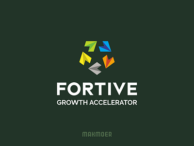 Fortive Growth Accelerator logo clean clever colorful design logo makmoer modern negative space paper plane simple star unique white space