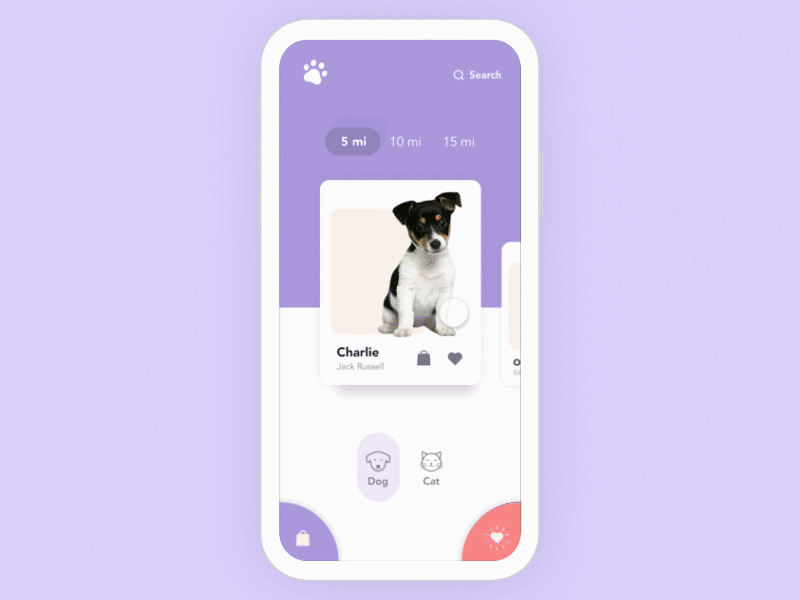 PetFinder App Concept adobe after effects adobe xd animation concept design exploration interaction interaction design ui ui design