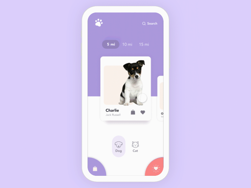 PetFinder App Concept