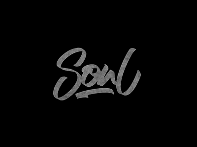 Cć / Soul branding bēhance calligraphy design graphic graphic design ipadpro lettering logo logotype procreate types typography