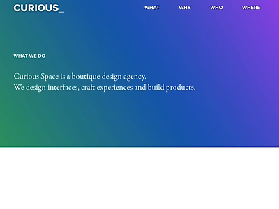 Curious Space - What design front end dev interaction design typography web design web development webflow