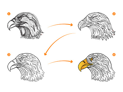 Eagle Illustration Process eagle gradients illustration orange process sketching white yellow