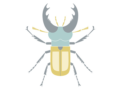 Stag beetle beetle bug design flat hello dribbble hellodribbble horn illustration insect minimal stag beetle stamp vector