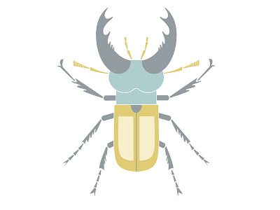 Stag beetle