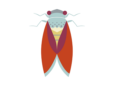 Cicada animal beetle bug cicada cricket flat geometric illustration insect wings