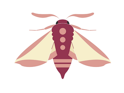 Wine moth animal antennas butterfly flat geometric illustration insect minimalistic moth pink vector wings