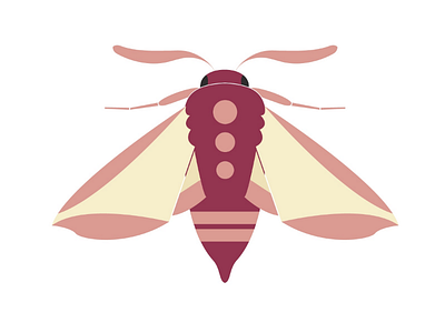 Wine moth