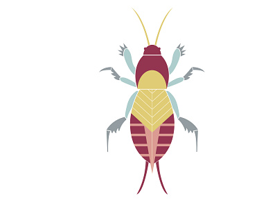 Mole cricket antennas beetle bug flat flying geometic geometric illustration illustrator insect minimal vector