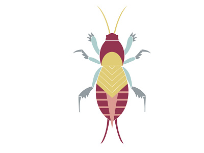 Mole cricket