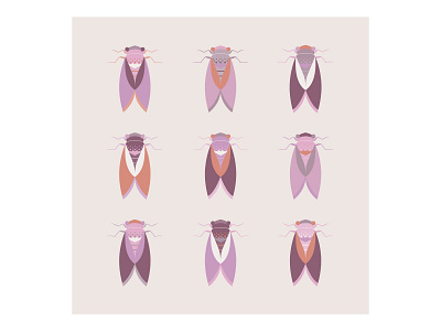 Cicadas purple set animal beetle bug cicada flat flying geometric illustration insect minimal vector