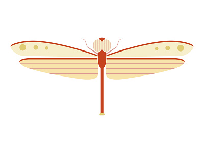 Red Dragonfly beetle bug design dragonfly flat flying geometric illustration insect minimal red vector