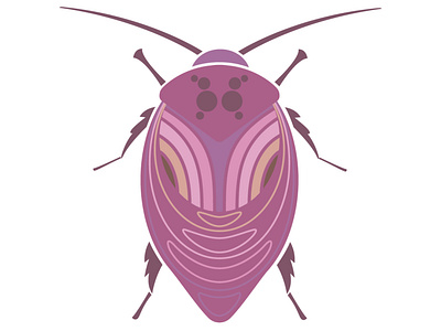 Cockroach antennas beetle bug cockroach color flat flying geometrical illustration insect ornament pattern purple