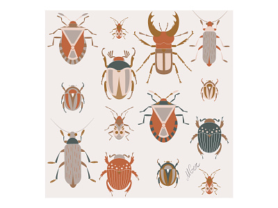 Beetles collection artwork beetle brown bug collection design earth flat geometric illustration insect minimal natural nature stag beetle vector