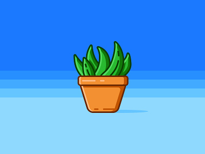 Plant