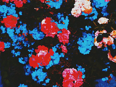 Glitchin america art flowers glitch