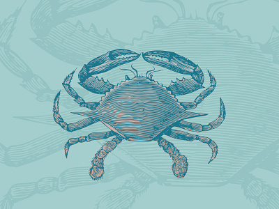 Blue Crab crab drawing engraving illustration retro sea life seafood vintage