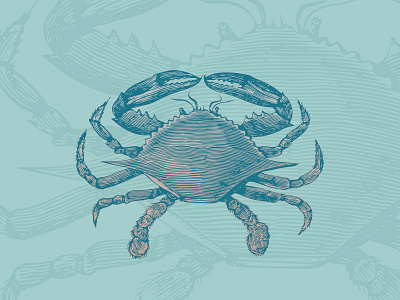 Blue Crab