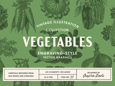 220 Vintage Vegetable Illustrations branding engraved engraving food illustration vector vegetables vintage