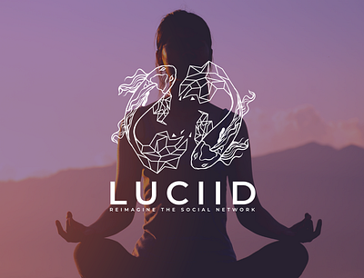 Lucid 3d branding design facebook graphic design illustration logo logo design modern polygon signature logo ui unique vector