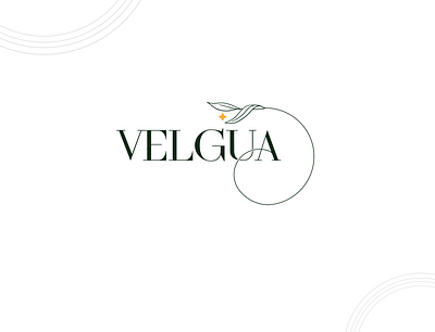 Velgua Logo Concept entrepreneur