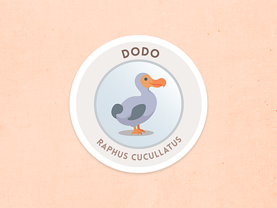 Dodo illustration