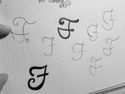 Darcie, Sketch 003 branding icon design identity logo development sketching typography