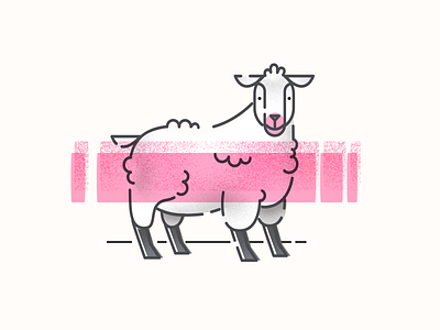 Sheep