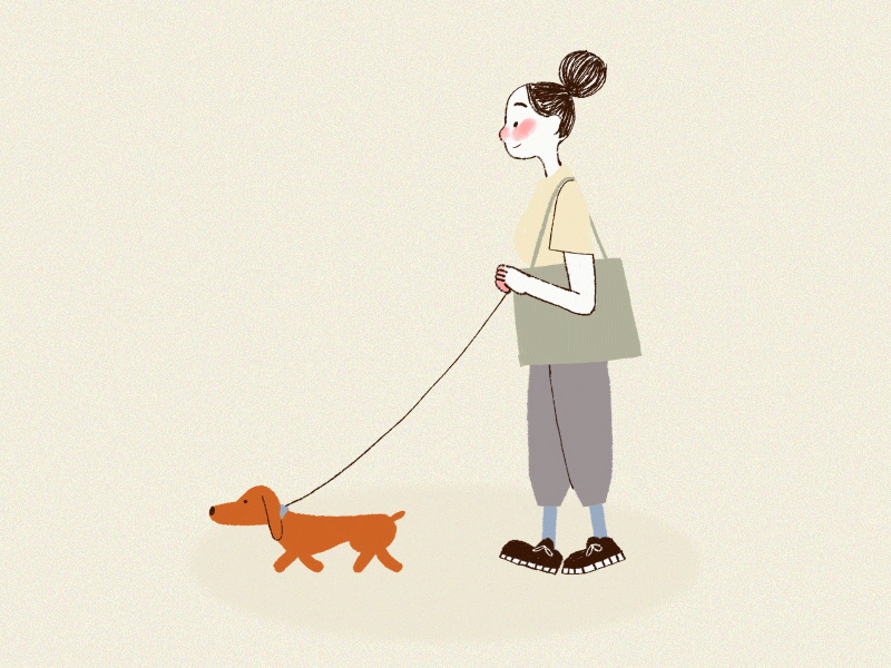 Walking Lady + Dog {gif} 2d after effects animated gif animation character gif motion graphics rigging toon boom harmony walk cycle
