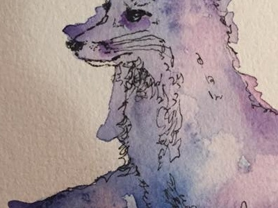 Quick Purple Fox