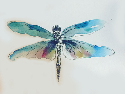 Dragonfly design illustration