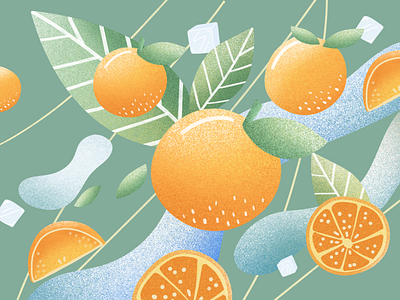 Oranges design illustration