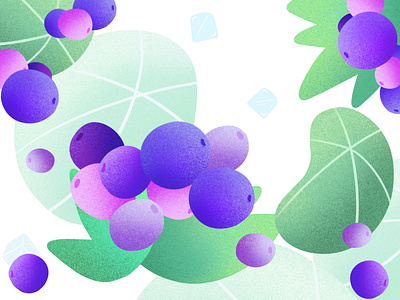 Grape design illustration typography