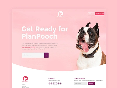 Landing Page Design dogs landing page launch pink plan pooch