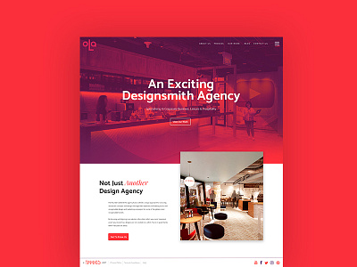 TwoLadsGroup- Website Design digital graphical interior design ui ux website design