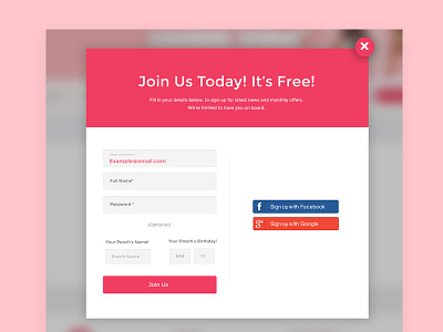 Dashboard Sign In! dogs landing page launch pink plan pooch