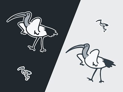 Bin chicken (ibis) stickers