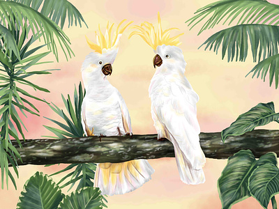 Tropical Cockatoo Print cockatoo design drawing illustration tropical