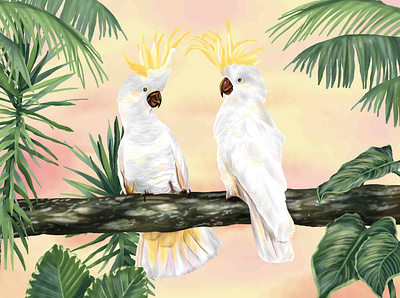 Tropical Cockatoo Print cockatoo design drawing illustration tropical