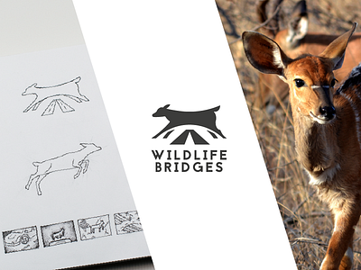 Wildlife Bridges Logo - Animal Conservation art bridges design logo norfolk norwich sketch uk wildlife