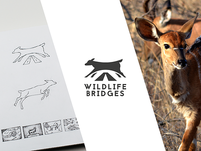 Wildlife Bridges Logo - Animal Conservation