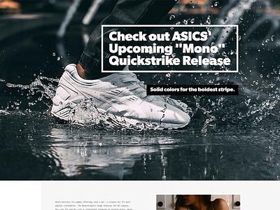 ASICS Fashion Concept