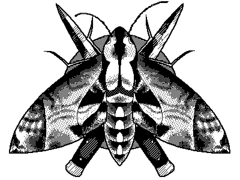 1-Bit Moth 1 bit butterfly dither insect macpaint moth pixel art